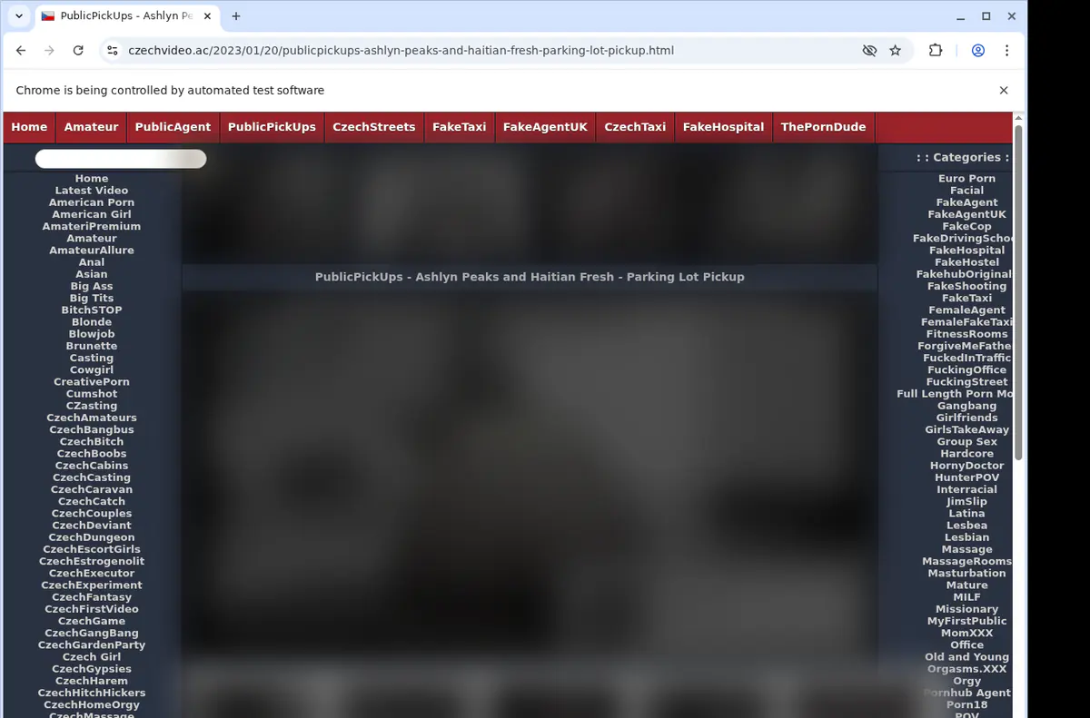 Czechvideo Video Downloader screenshot 2