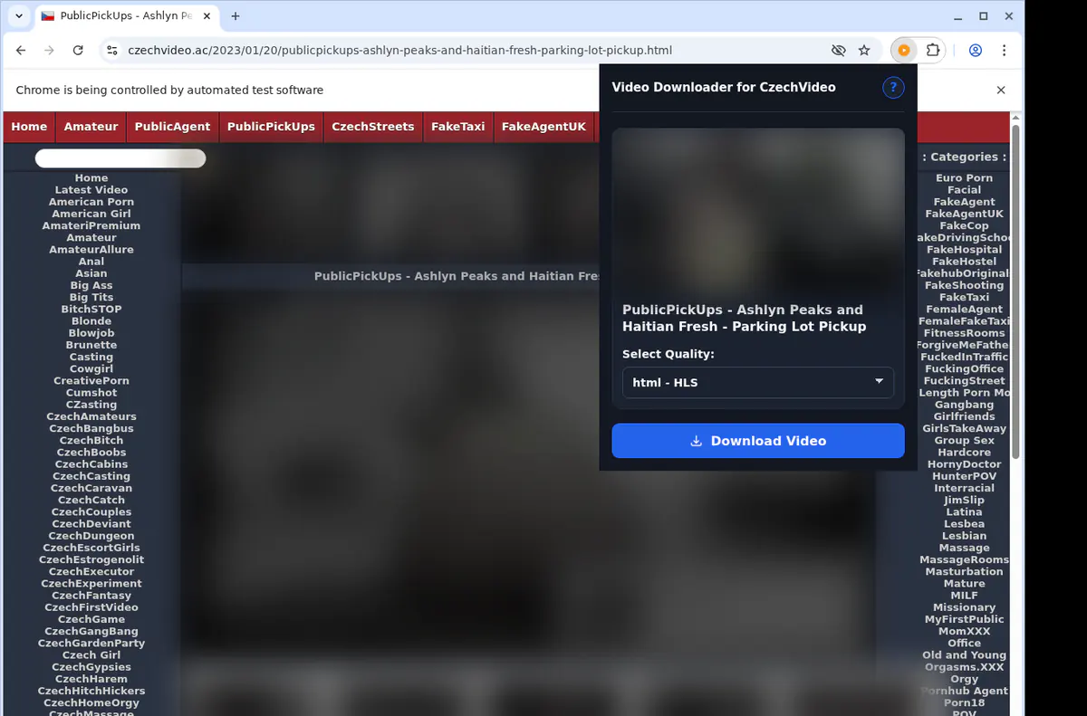 Czechvideo Video Downloader screenshot 3